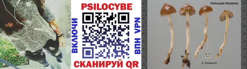 Псилоцибиновые грибы мухоморы Магадан